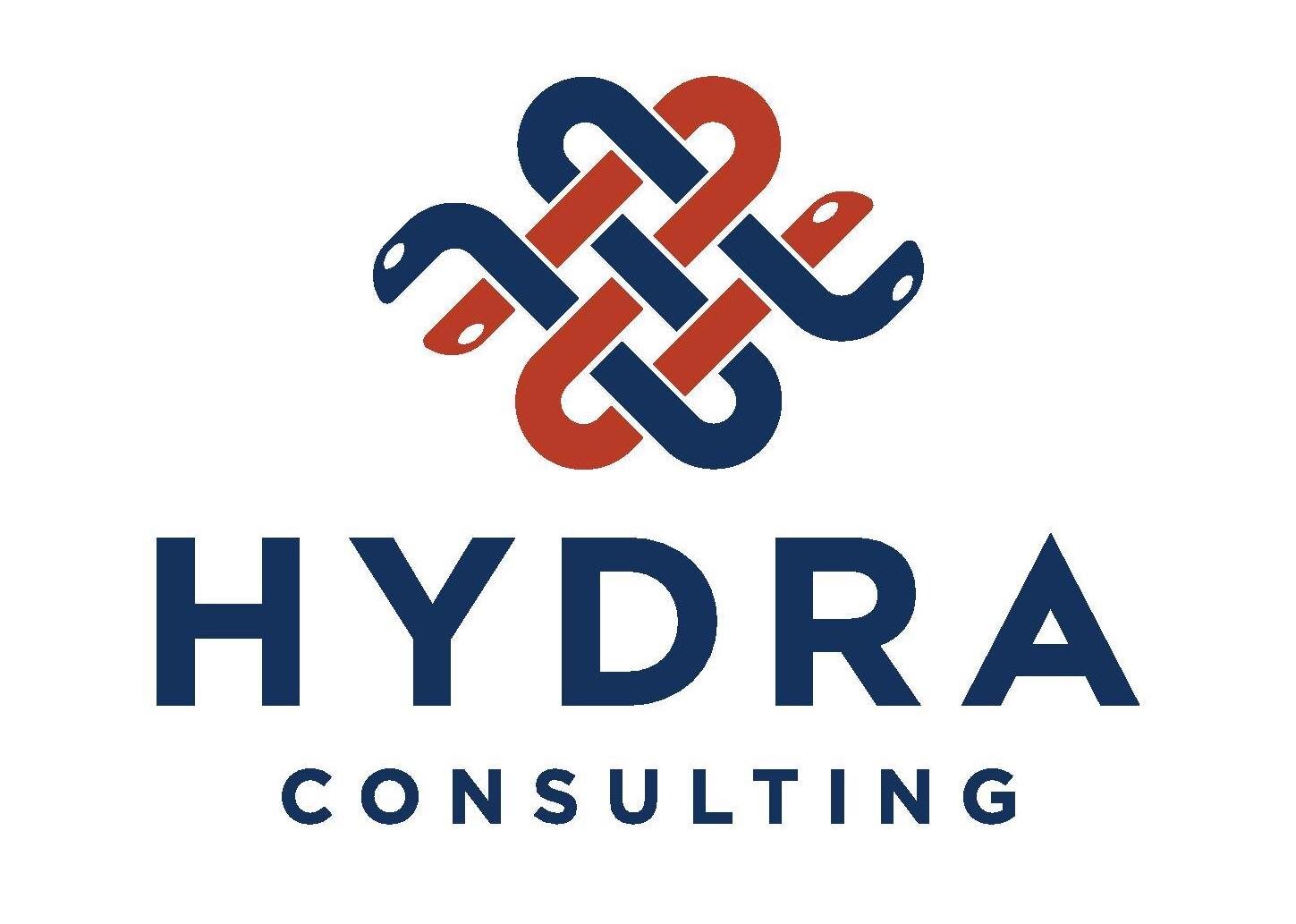 Hydra Consulting