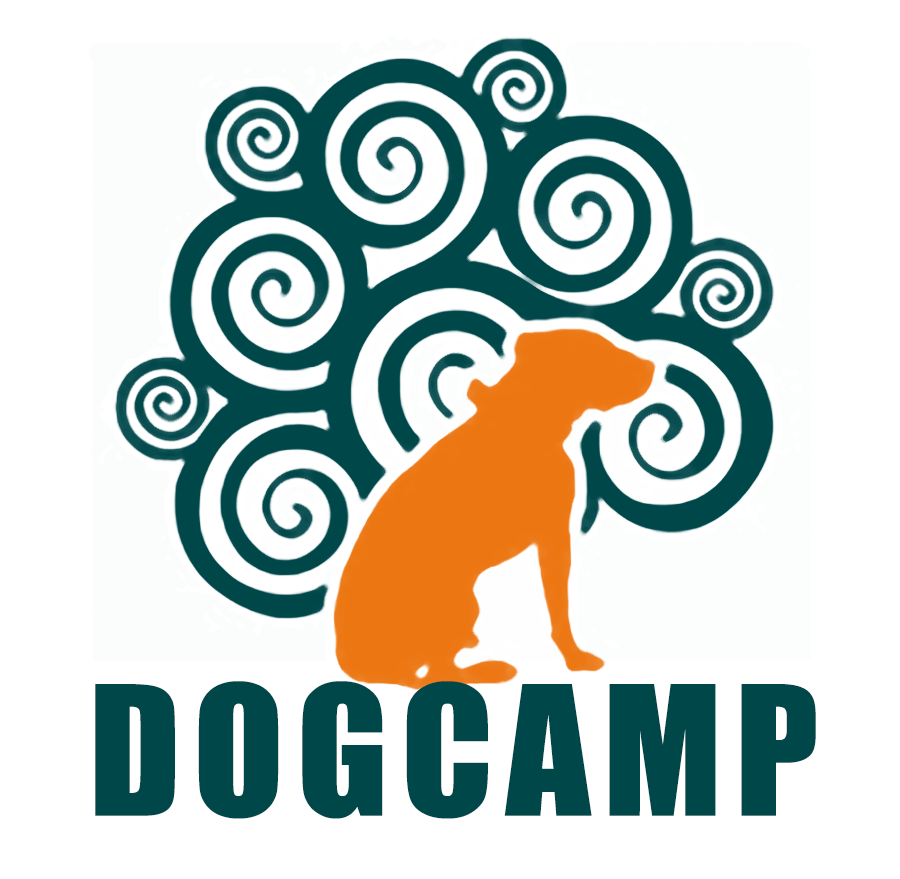 DogCamp