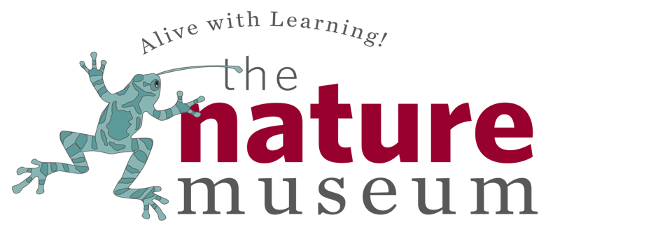 The Nature Museum