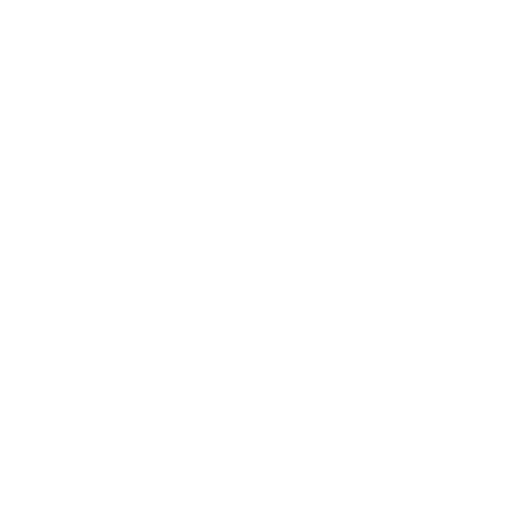 THIRD COAST PHOTO BOOTH