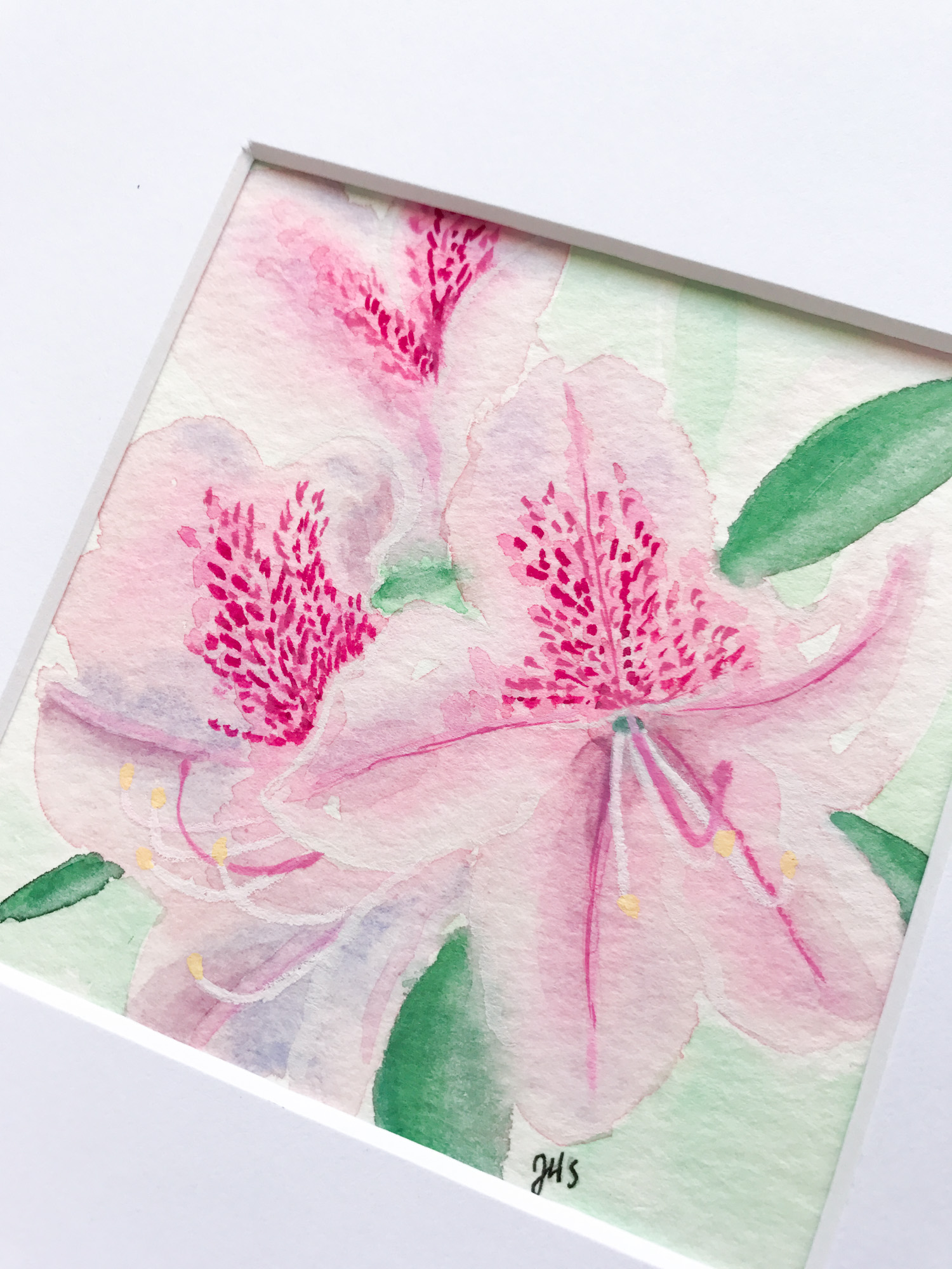 Azalea Day 28 Original Watercolor Painting With Mat Janet