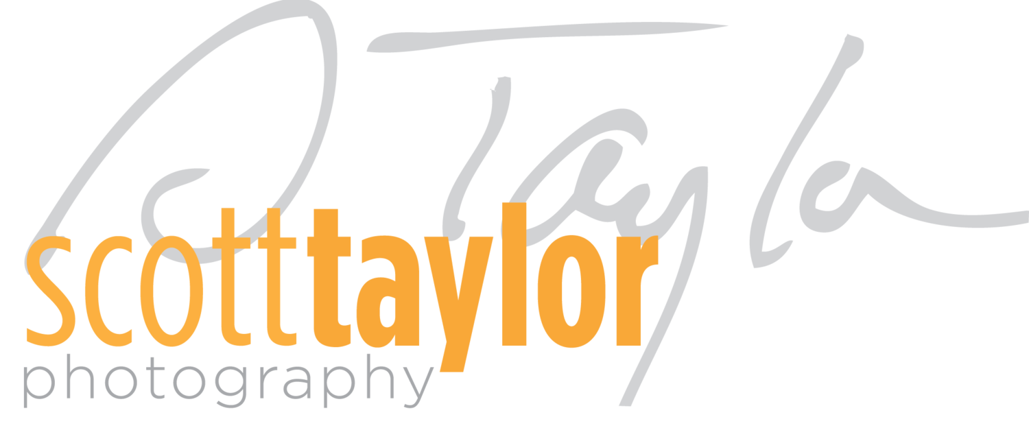 Scott Taylor Photography