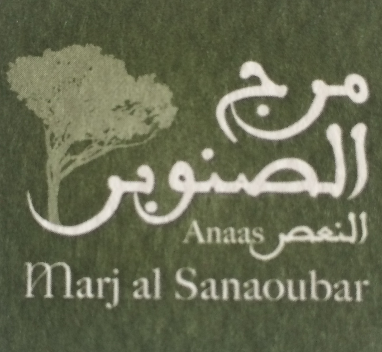 Marj Al Sanaoubar