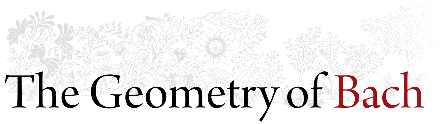 The Geometry of Bach