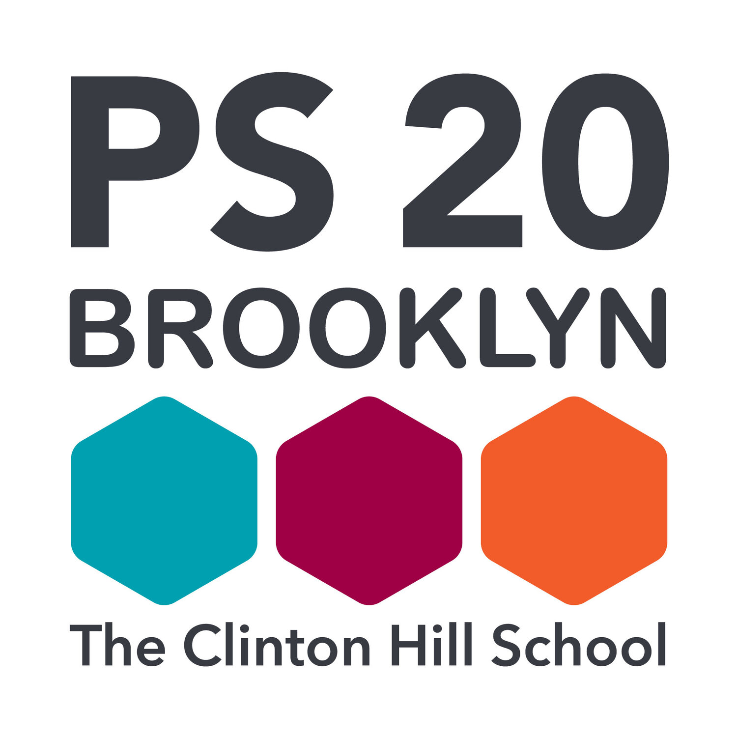 PS 20 The Clinton Hill School