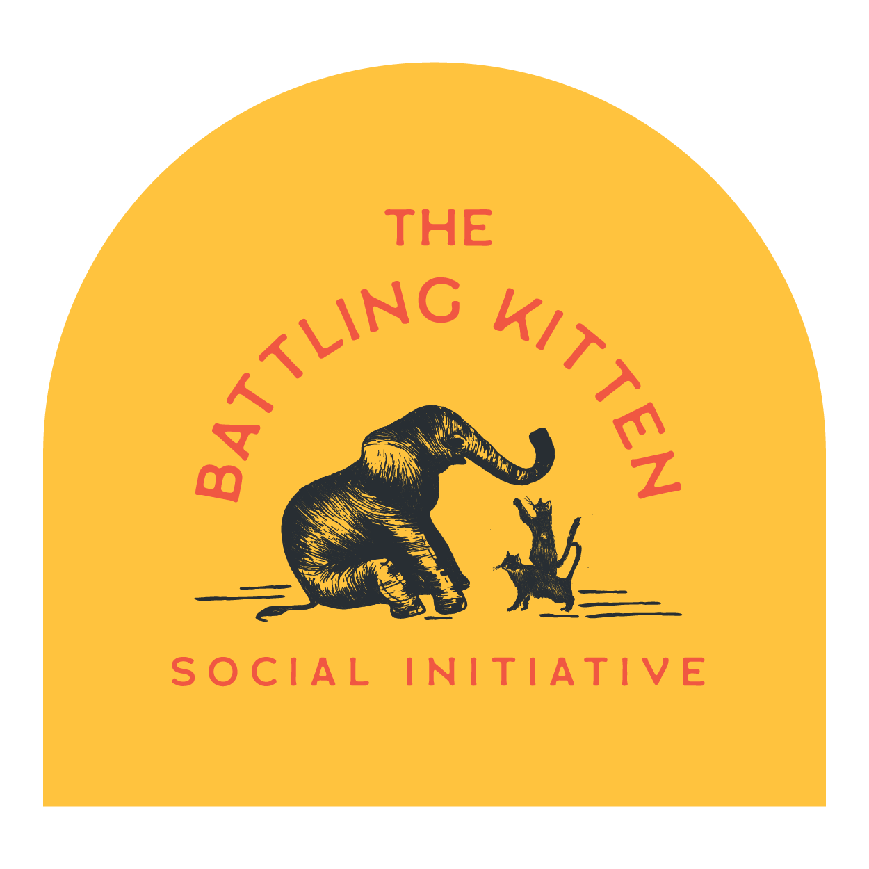 The Battling Kitten Foundation 