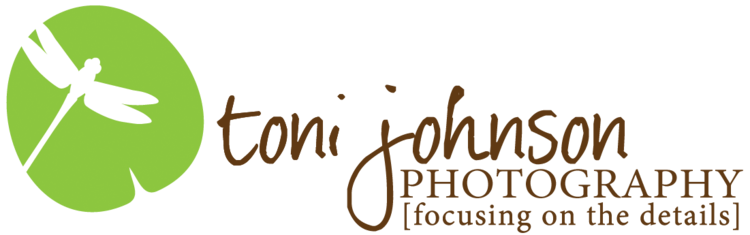 Toni Johnson Photography