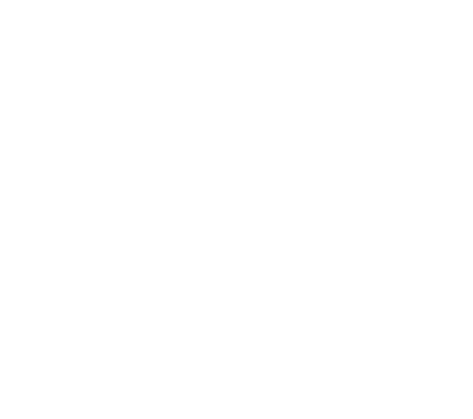 Svane Capital