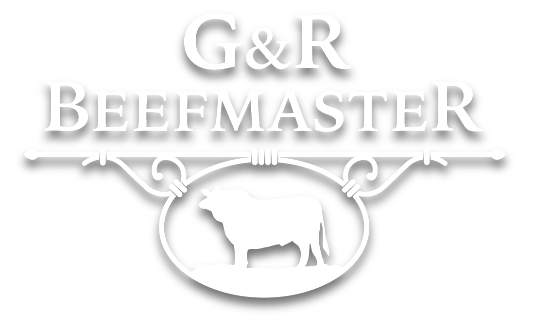 G&R Beefmaster