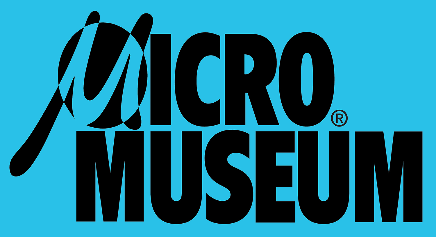 Micromuseum