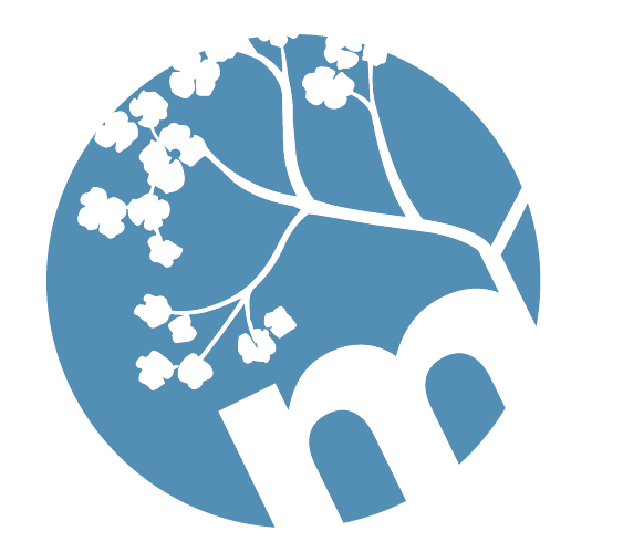 The Mindful Tutor
