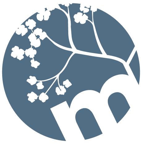 The Mindful Tutor