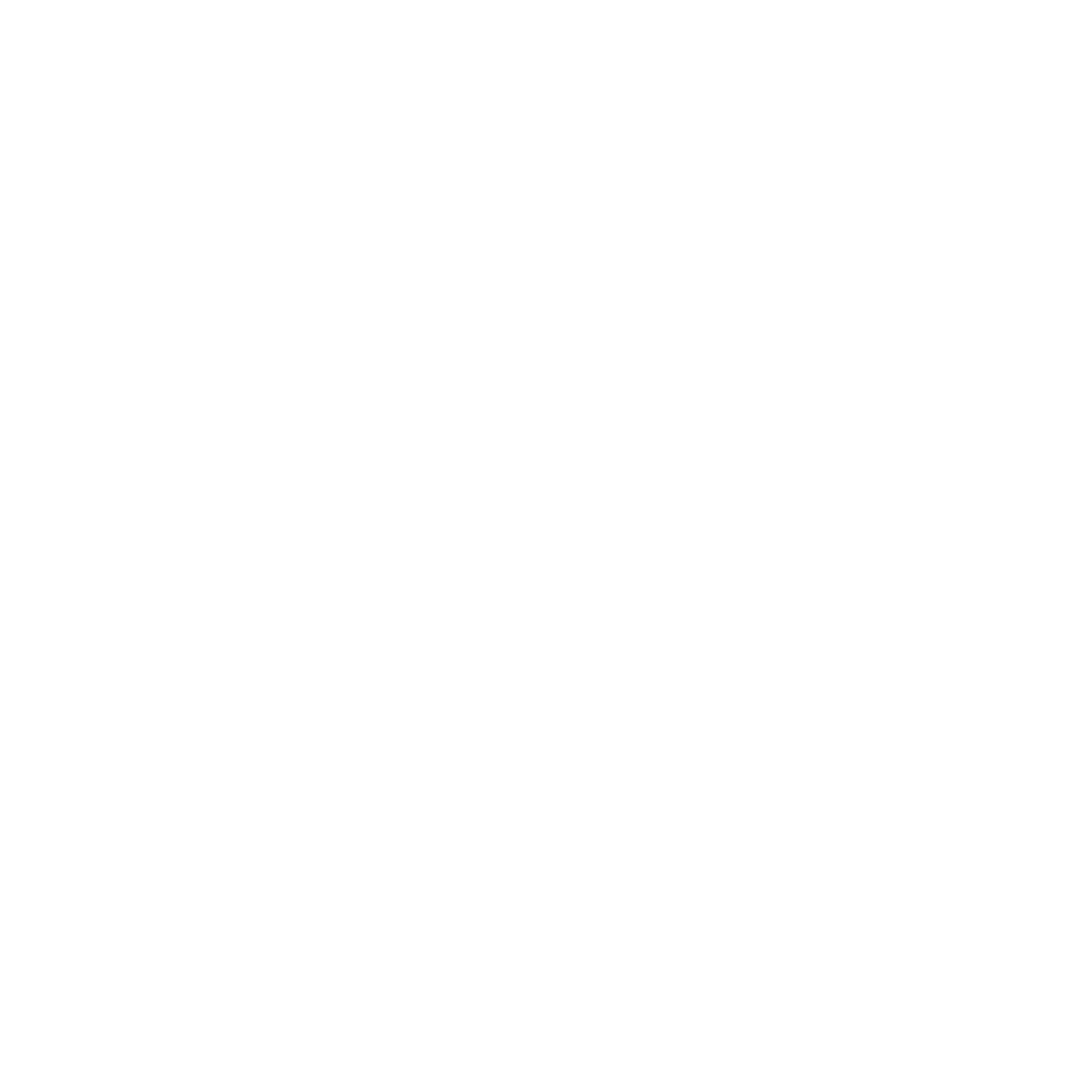 True North Chiropractic 