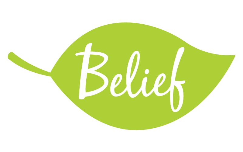 Belief Resourcing