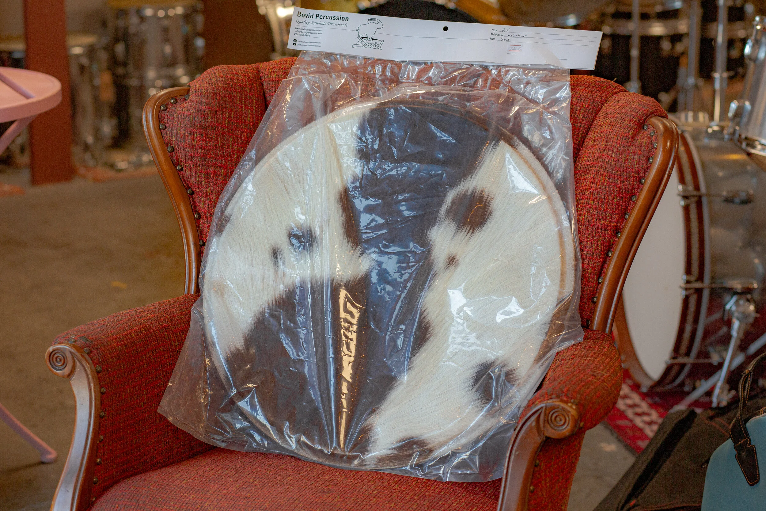 Bovid Skin Drum Heads Nelson Drum Shop