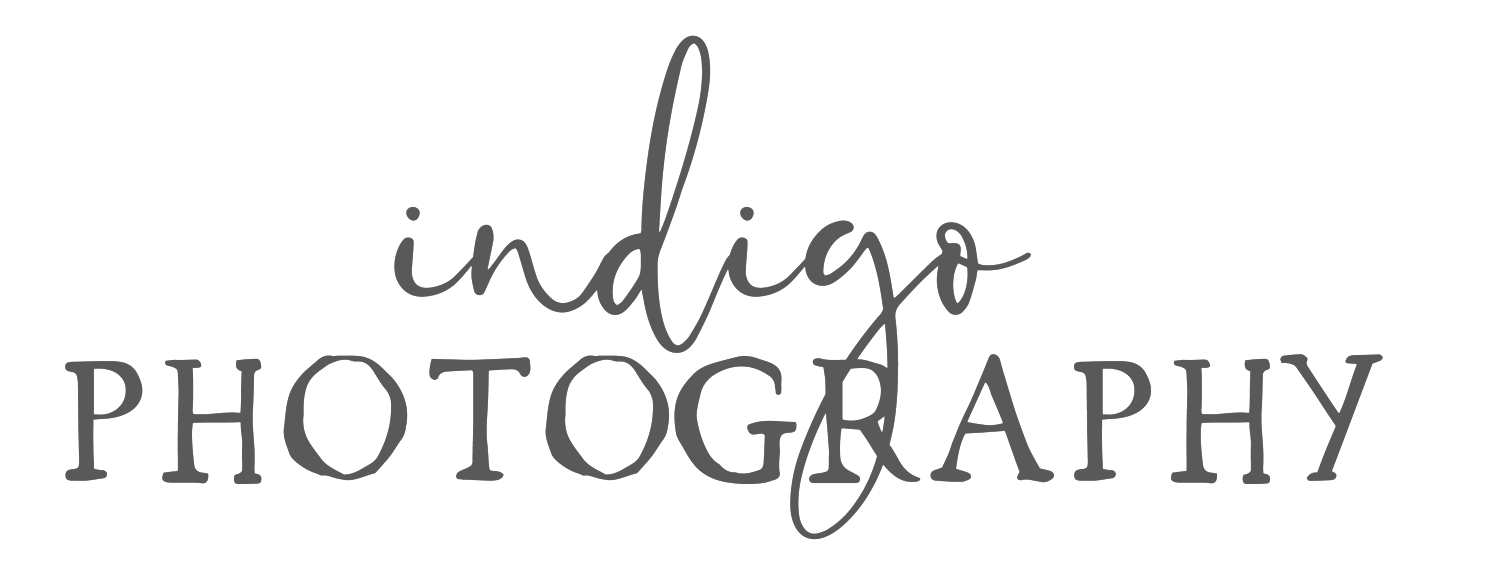 Rockford IL Wedding Photographers | Indigo Photography