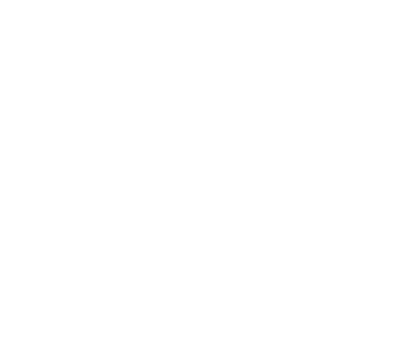 Bruin Advertising and Marketing Team