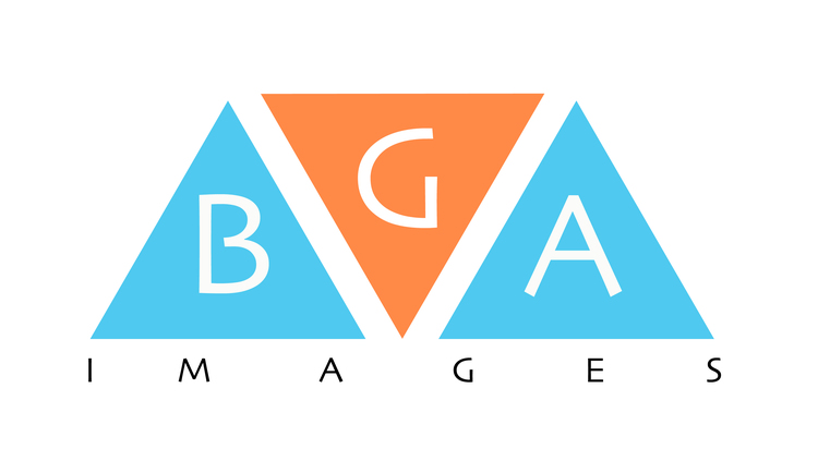 BGA IMAGES