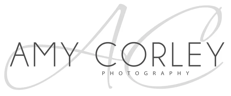 Amy Corley