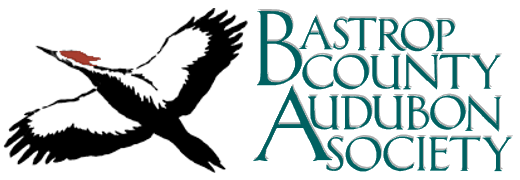 Bastrop County Audubon Society