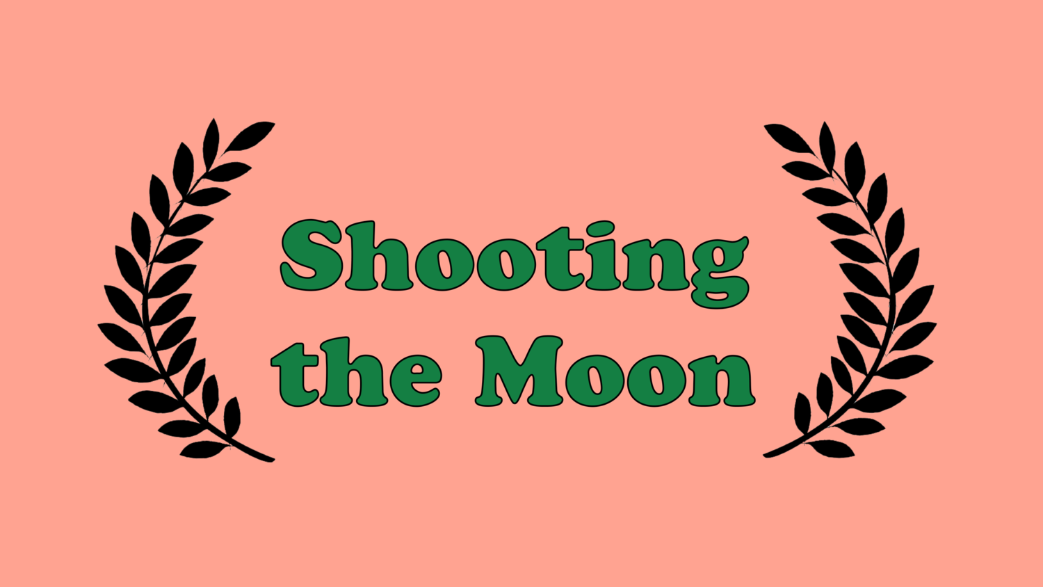Shooting The Moon