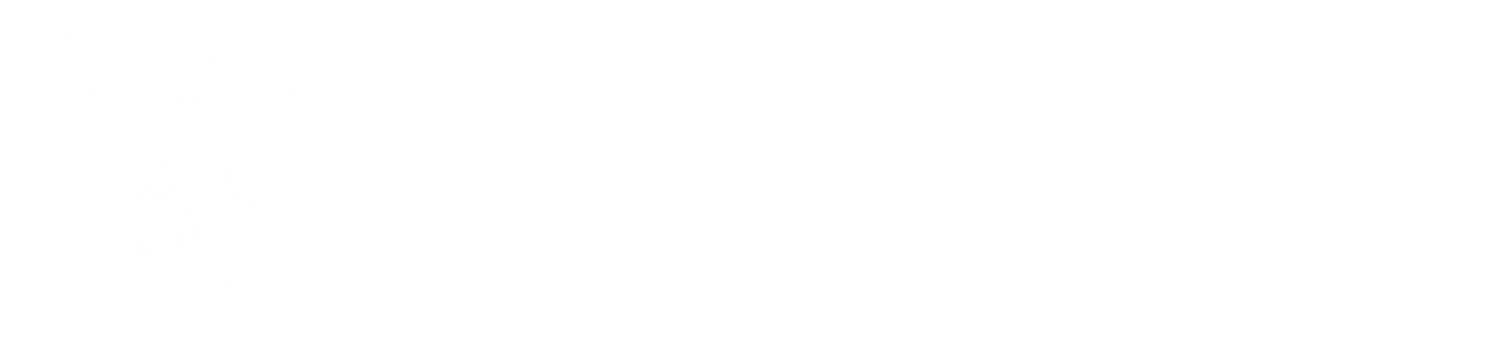 Apiarity