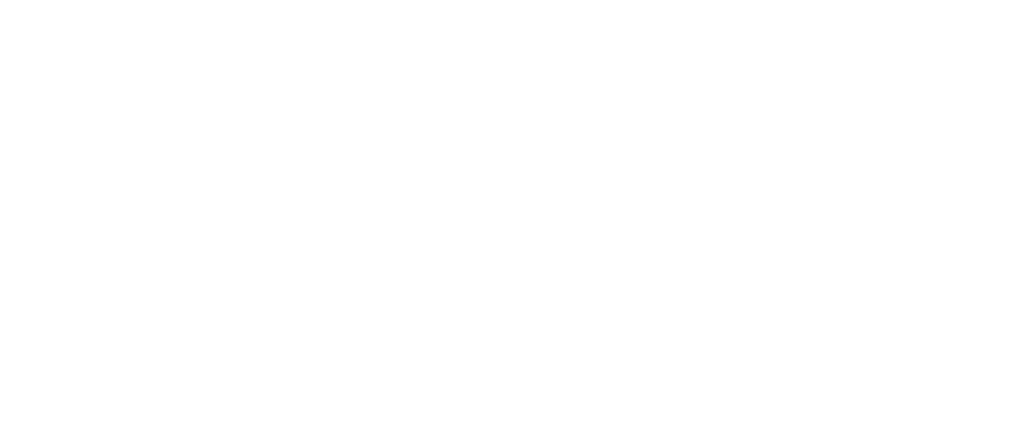 air-connect international