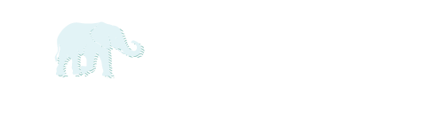 Nanndi Frozen Cream Shop
