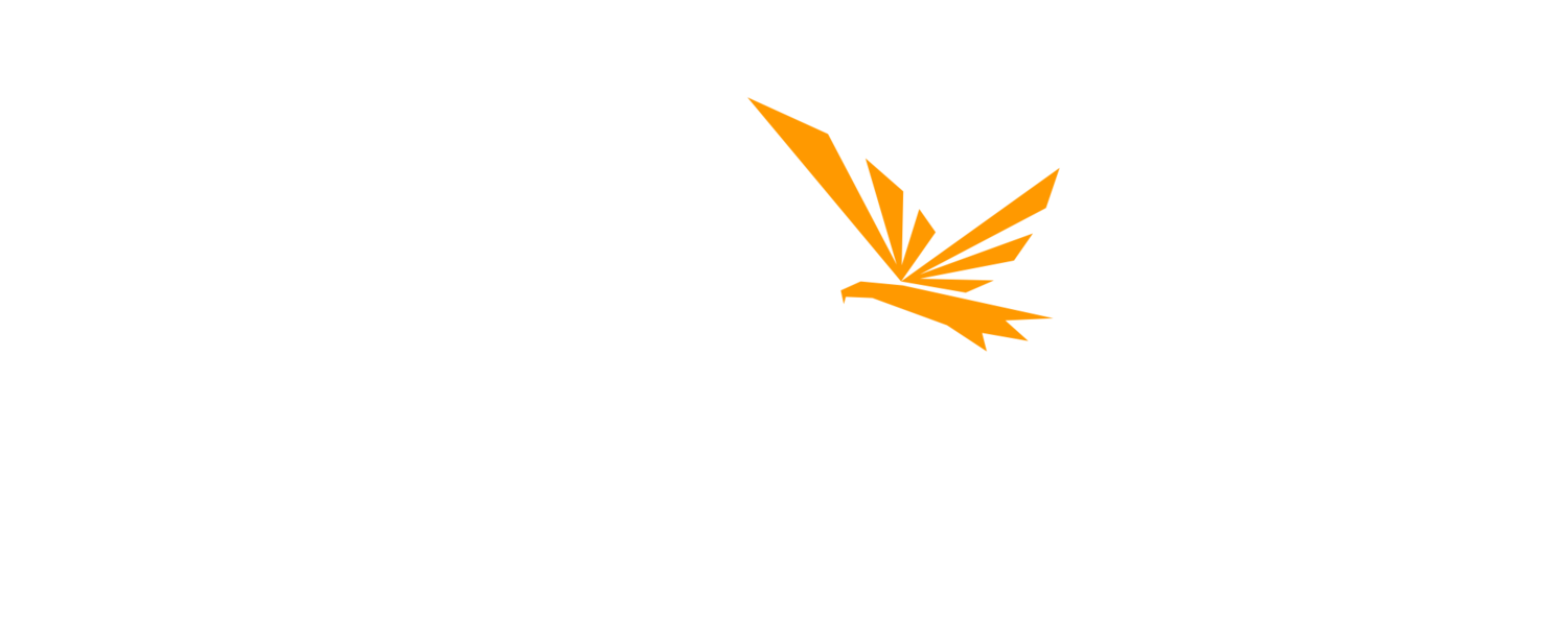 Tone Hawk Studios