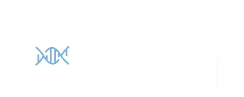 Search Angels