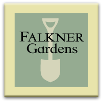 Falkner Gardens
