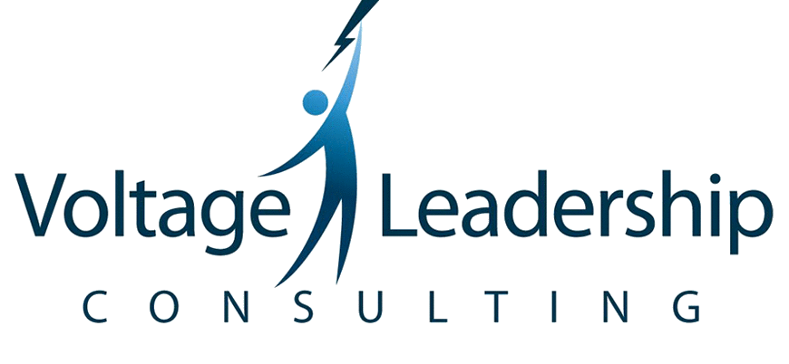 Voltage Leadership Consulting