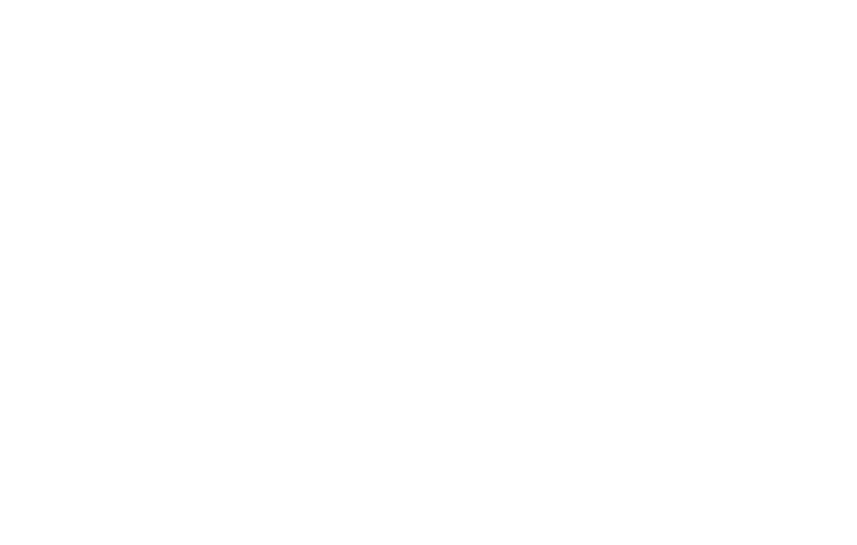 CarLifestyle