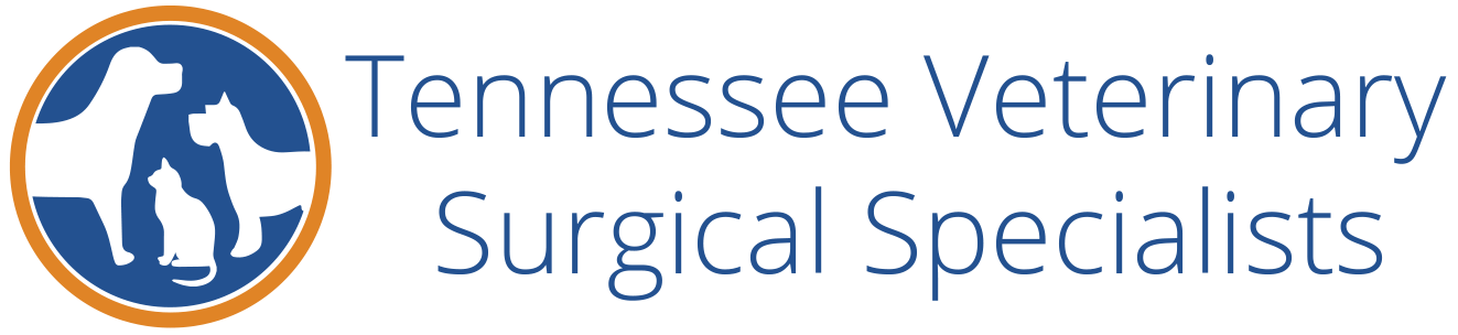 Tennessee Veterinary Surgical Specialists