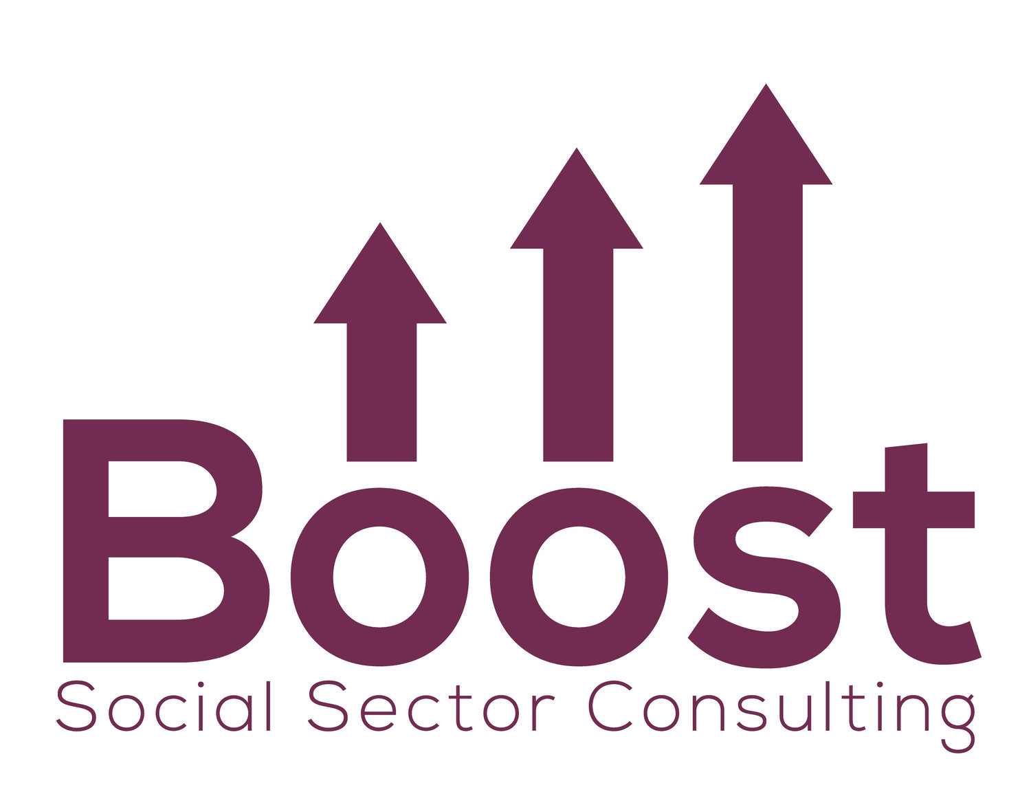 Boost Social Sector Consulting