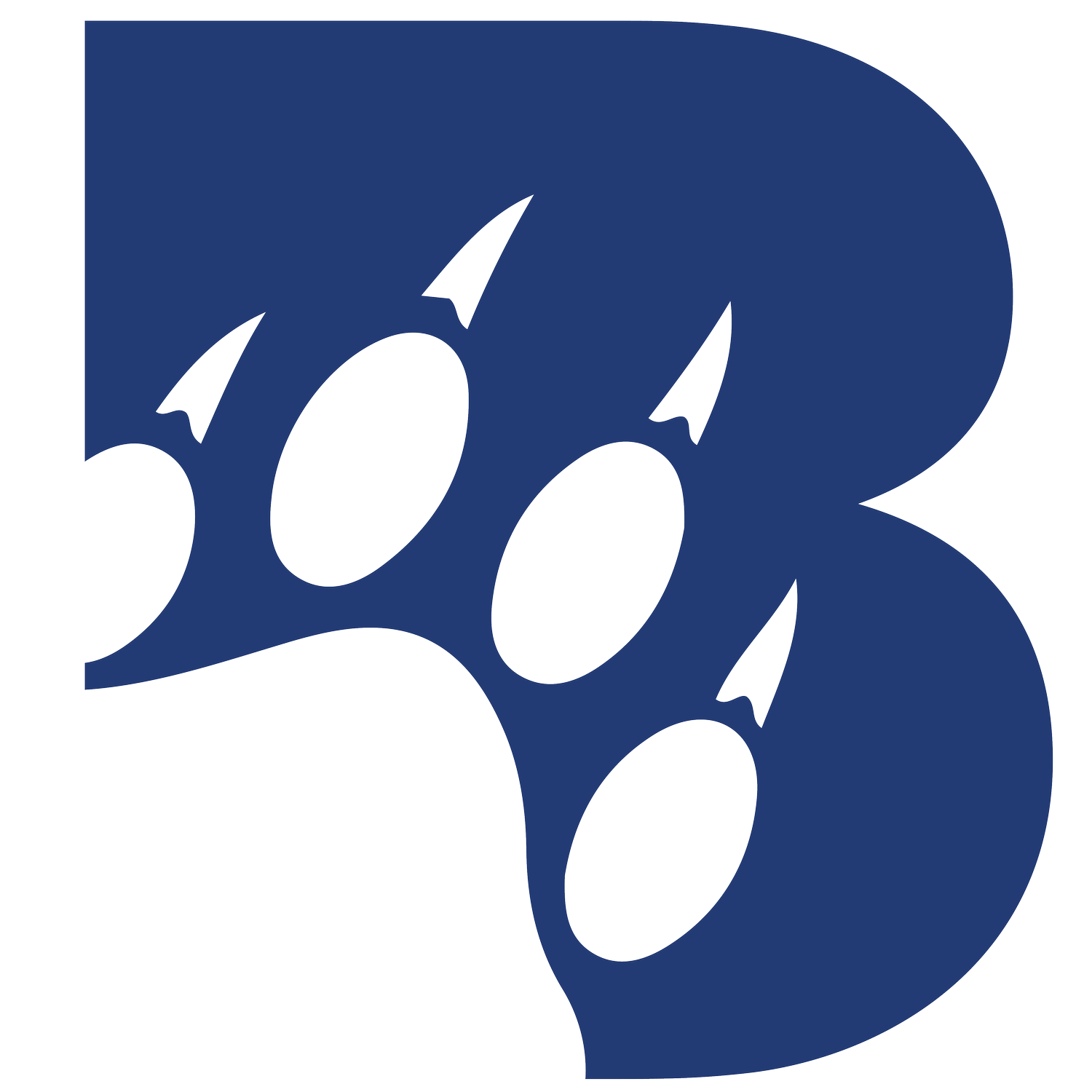 Undergraduate Student Government at Baruch College