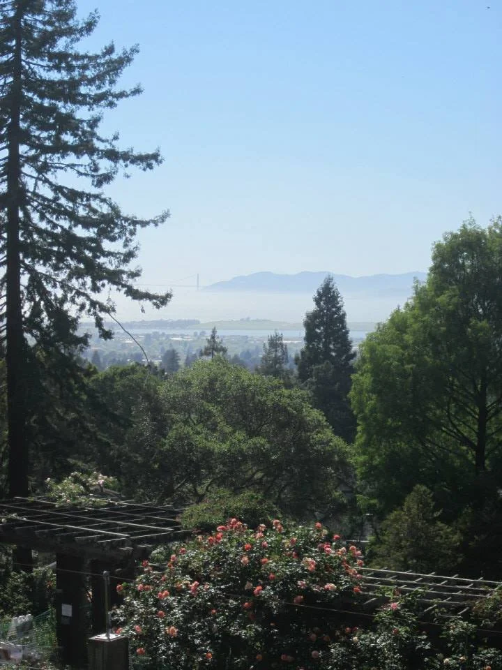 Invincible Summer Counseling and Consulting with Mariel Olsen, LCSW