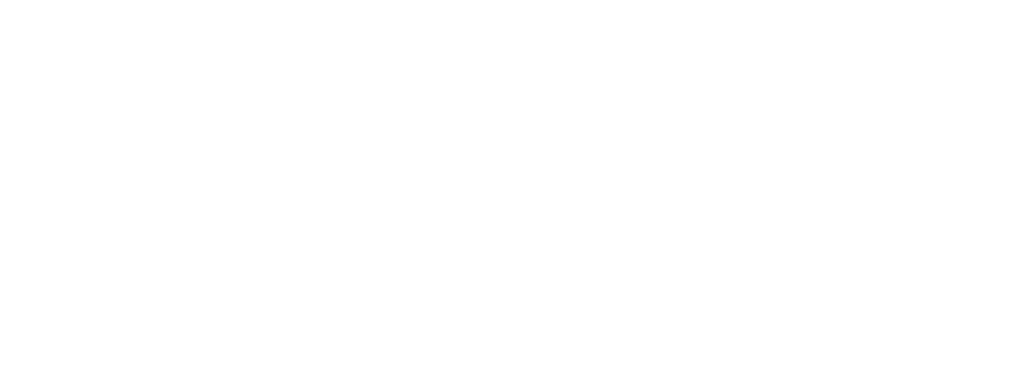 the norton school