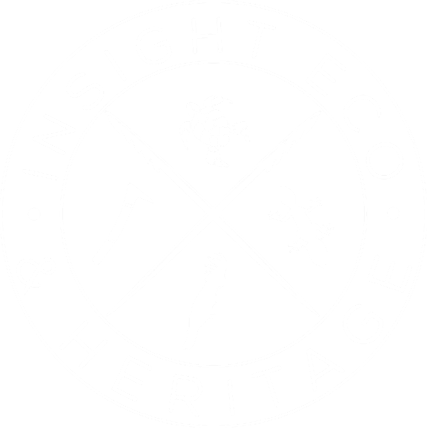 Insight Ecology and Heritage