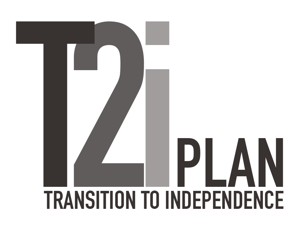 The T2I Plan
