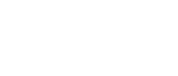 The Bearded Mechanic