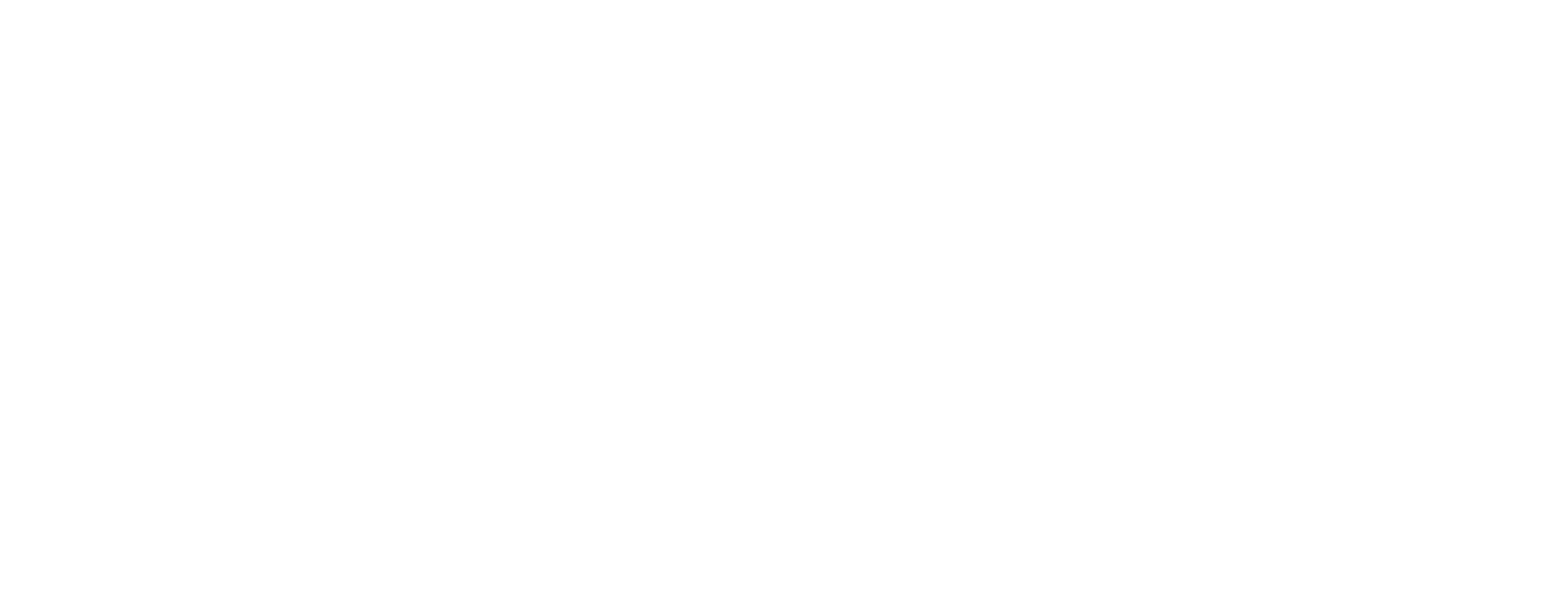 Branch Development Partners