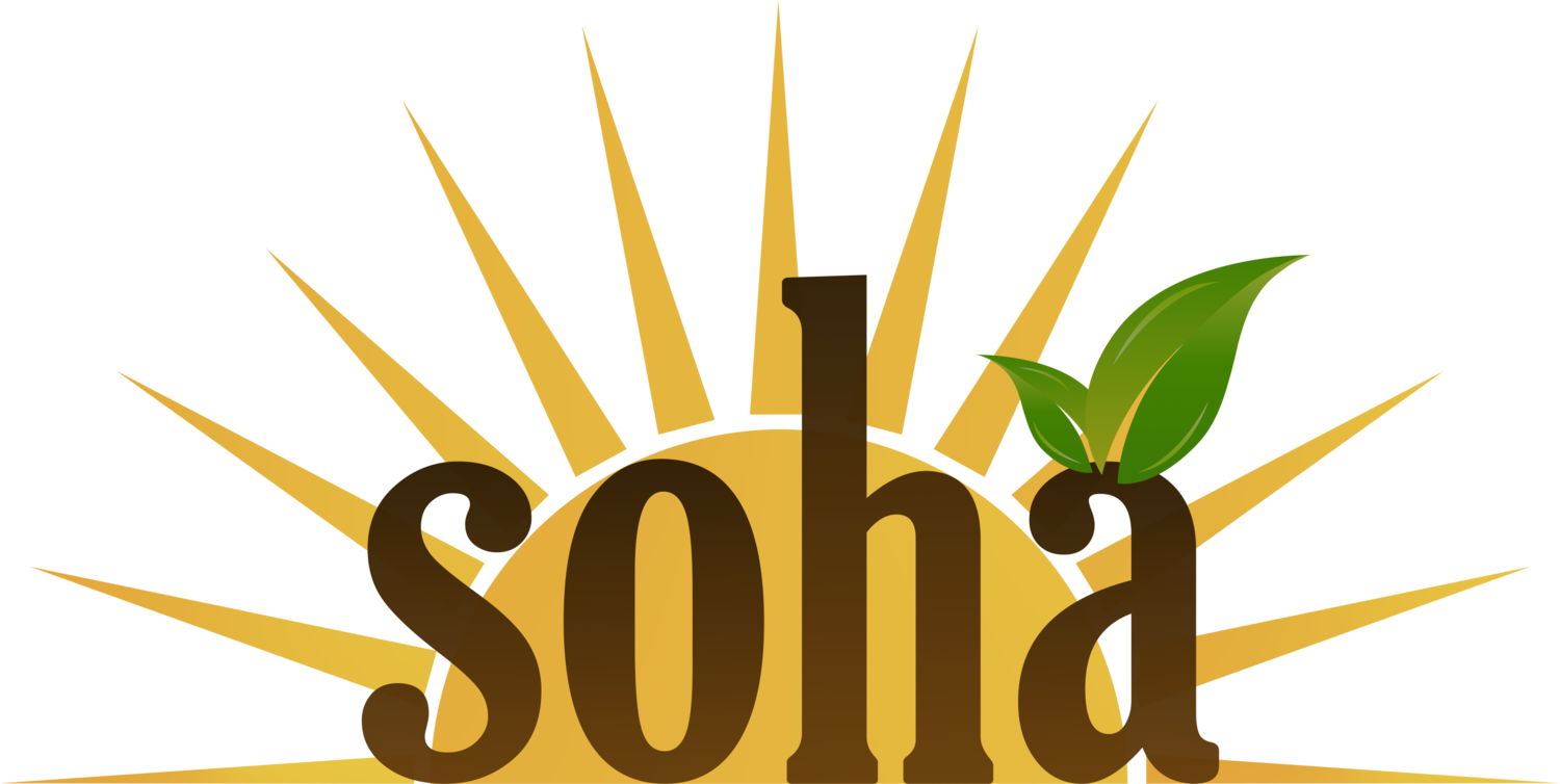 Soha LLC