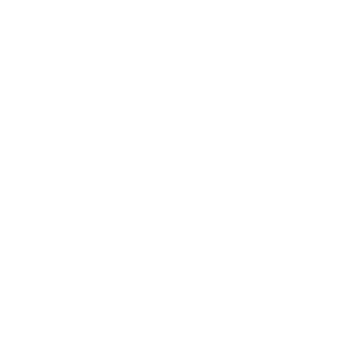 Southern Fryed