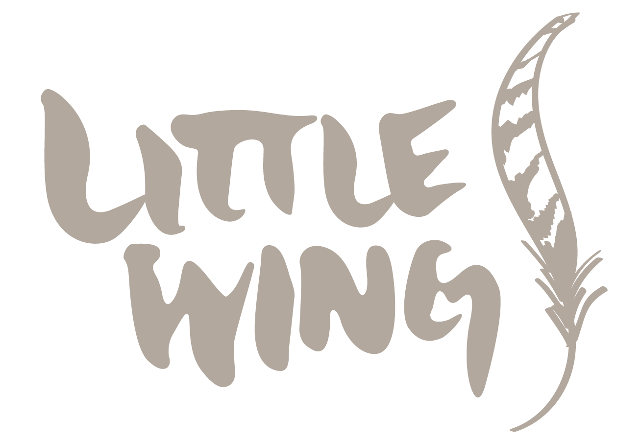 Little Wing Creates | Alex N. Rodriguez