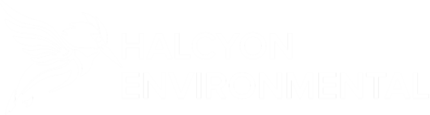 Halcyon Environmental