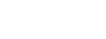 Brighton Democratic Committee