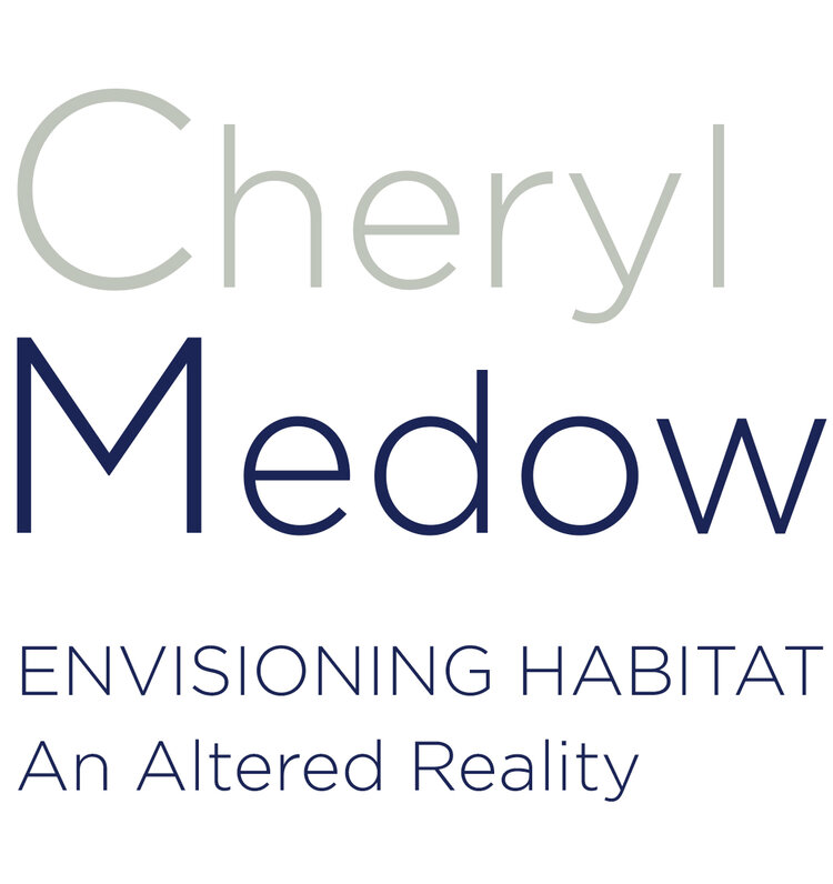 Cheryl Medow