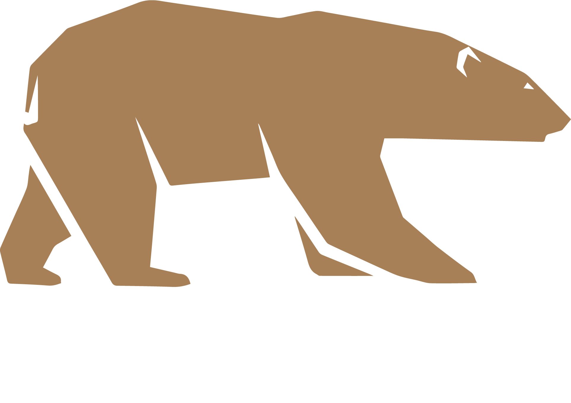 audiobear
