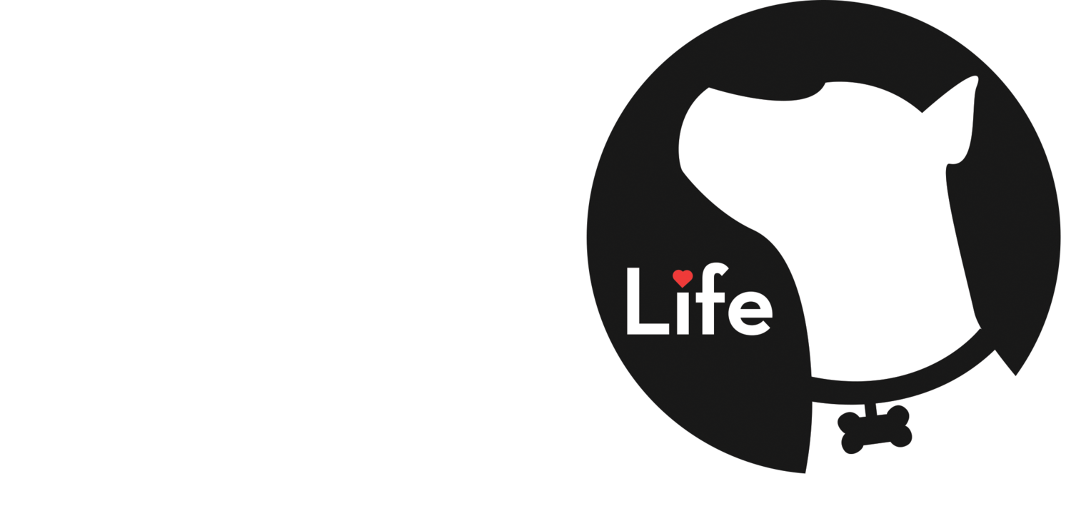 New Leash on Life Chicago